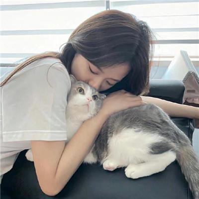 猫王（迷你剧）